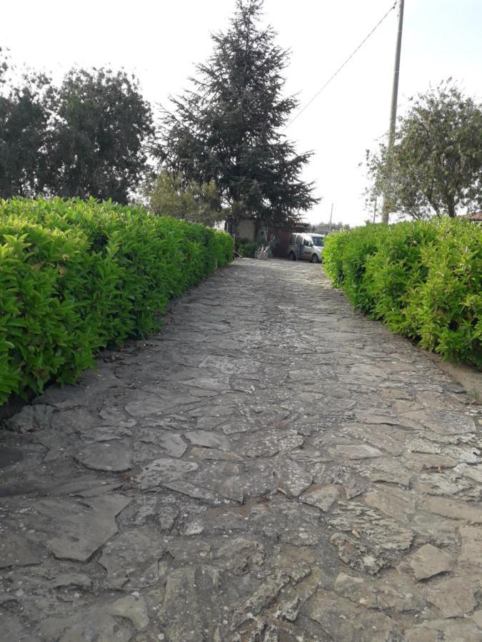Villetta Immersa Nel Verde Piazza Armerina Exterior photo